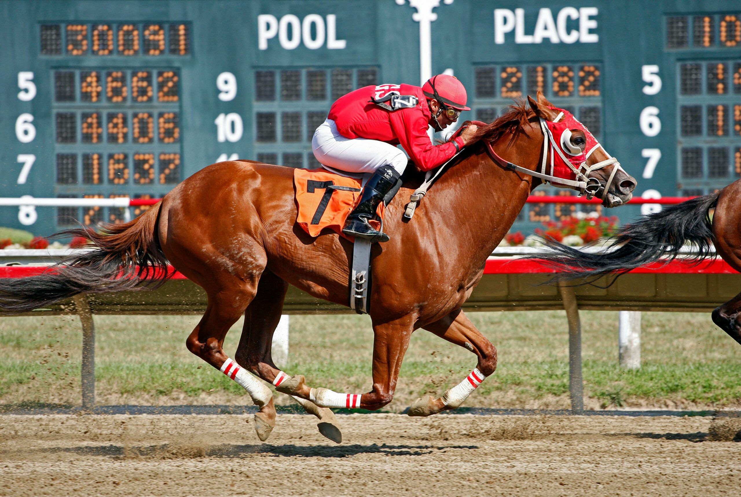 🐎 The Thrill of Horse Racing Online – Harness the Fun & Ride the Action!